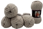 Preview: 500 Gramm Himalaya Silky Touch Strickgarn, 5 x 100g Strickwolle 100% Exoline seidig soft